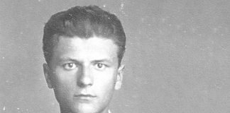 Prvu stručnu elaboraciju o Mauroviću (konkretno – njegovoj izložbi slika) napisao je još 1920. godine PERE LJUBIĆ, gimnazijski prijatelj, kojeg je pak „identificirala“ zagrebačka profesorica (i lektorica) NELI MINDOLJEVIĆ